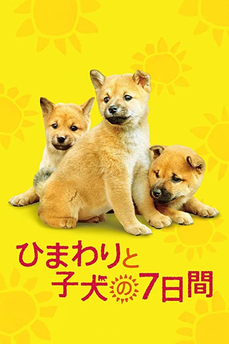 7 Days of Himawari & Her Puppies (2013)