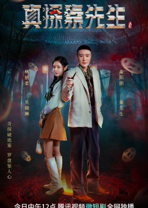 True Detective Mr. Qin (2023)